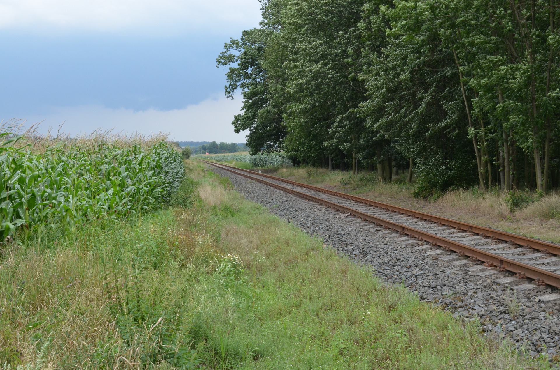 Odkaz na fotogalerii