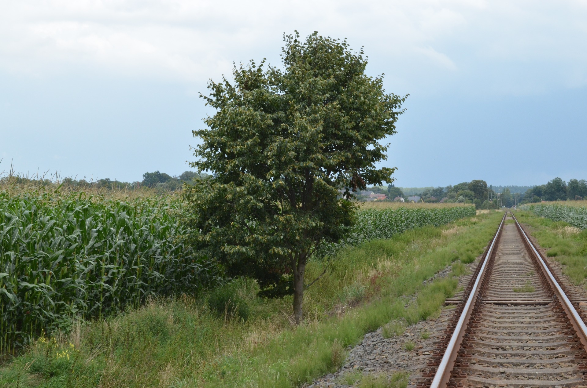 Odkaz na fotogalerii