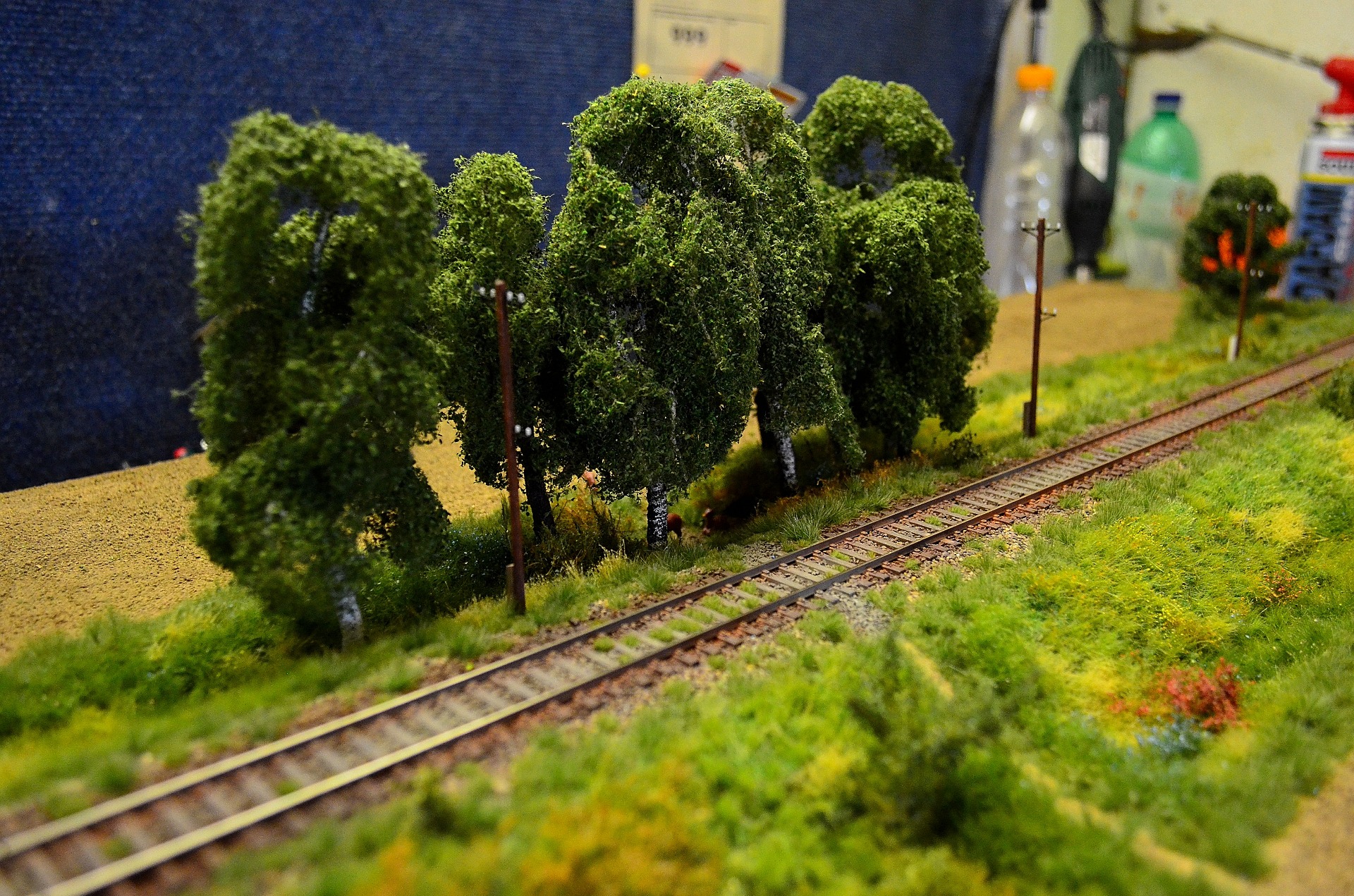 Odkaz na fotogalerii